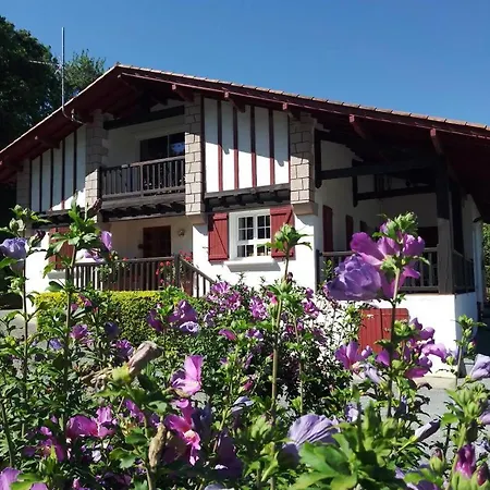 펜션 Xearbaita 어룬